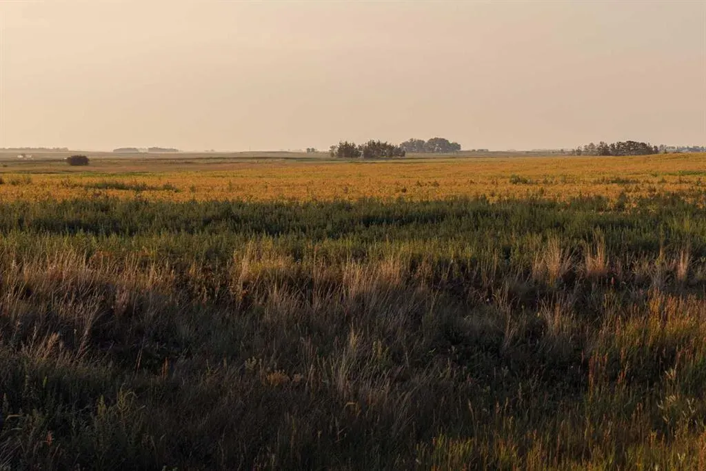 Parcel 6 Range Road 271 just south of Highway 9.