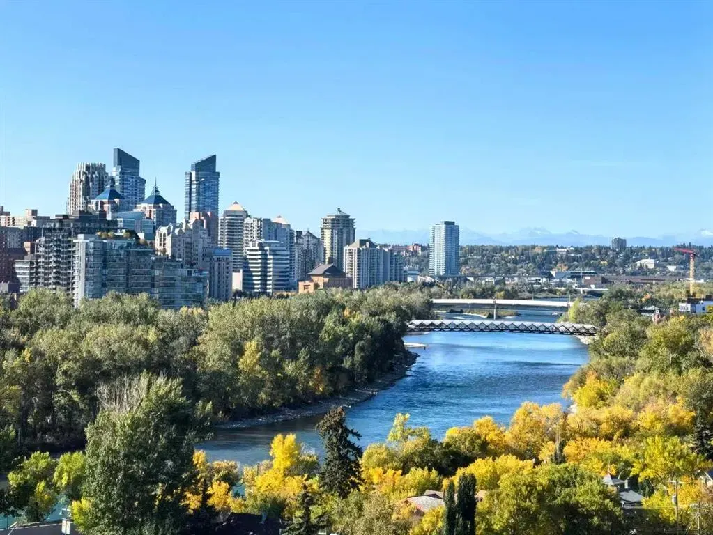 1025 5 Avenue SW #403