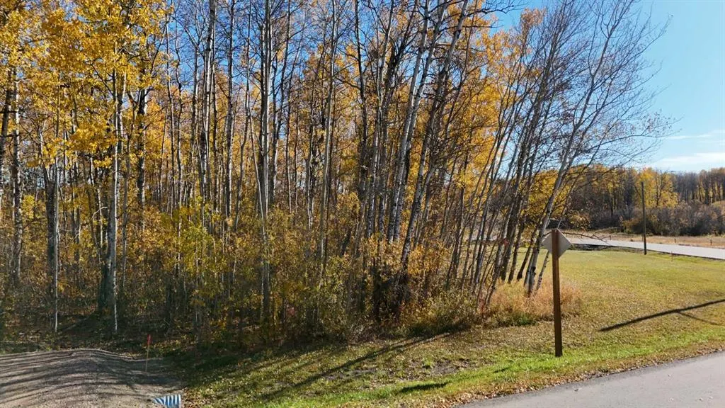 13441 665A Township #389