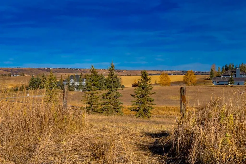 11 Idlewild Estates