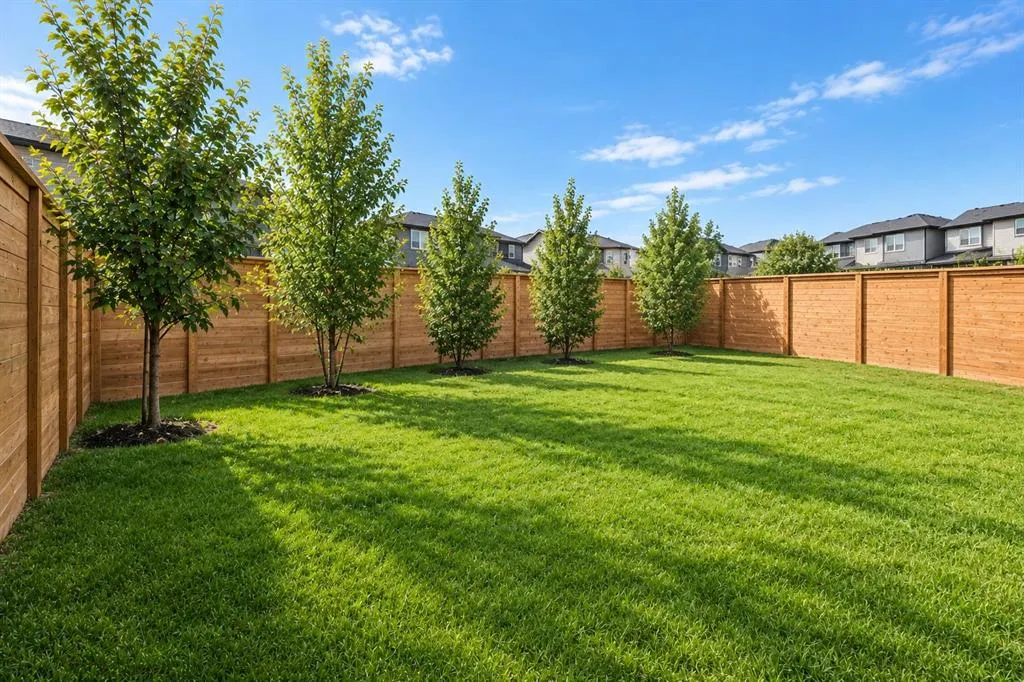 205 Precedence View