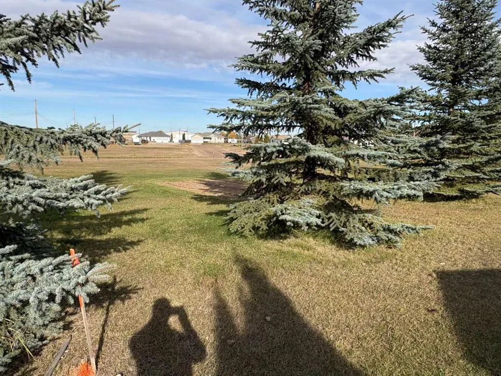 11 SIFTON Crescent