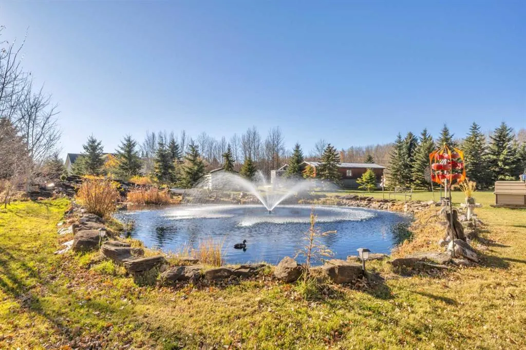 462014 RAGE ROAD 10 #409