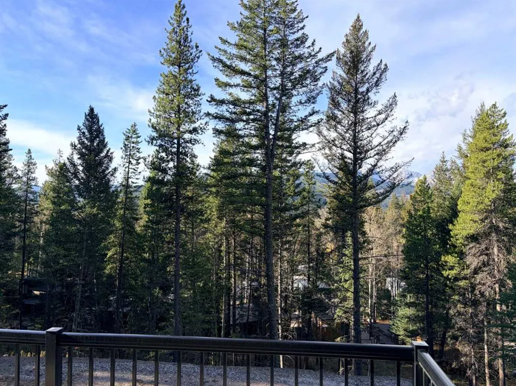 132 Aspen