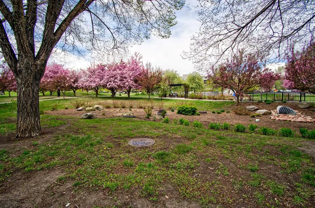955 Mcpherson Road NE #515