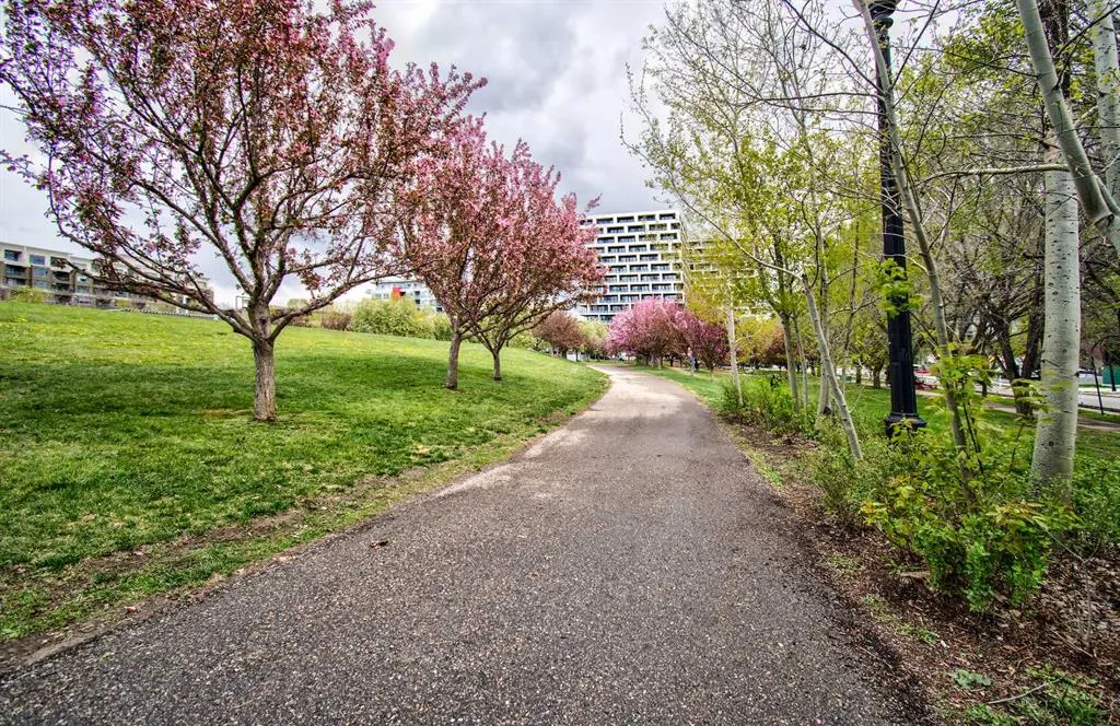 955 Mcpherson Road NE #515