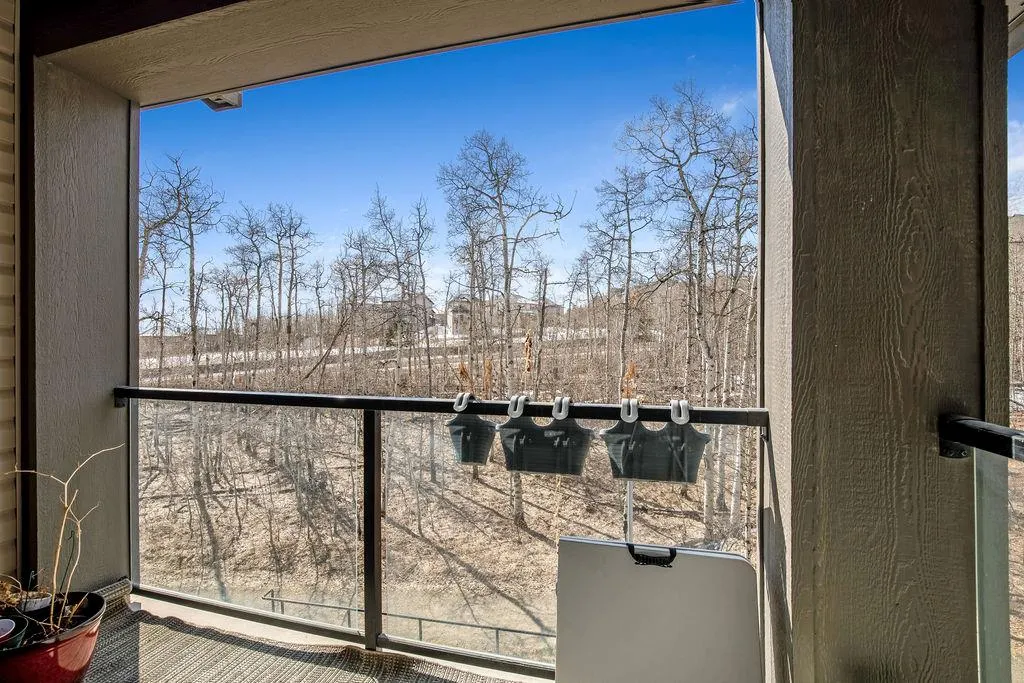 25 Aspenmont Heights SW #313