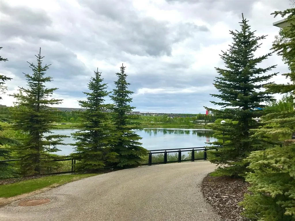 25 Aspenmont Heights SW #313