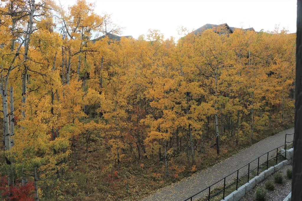25 Aspenmont Heights SW #313