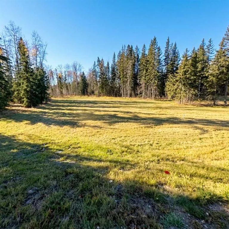 205 High Timber Place