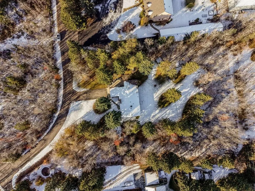 6 College Park Close