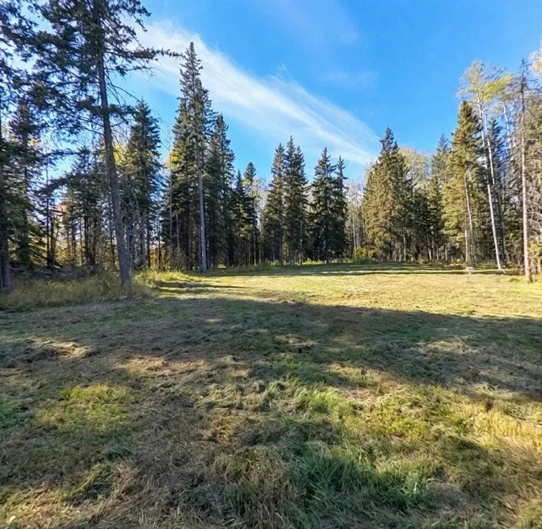 206 High Timber Place