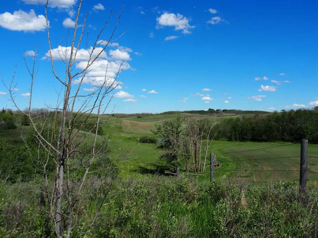 Buffalo Drive #1