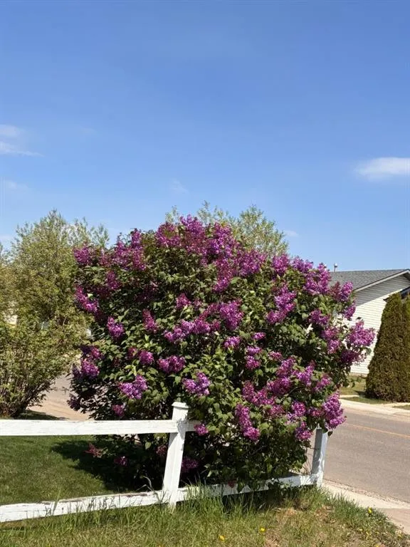 277 Kendrew Drive