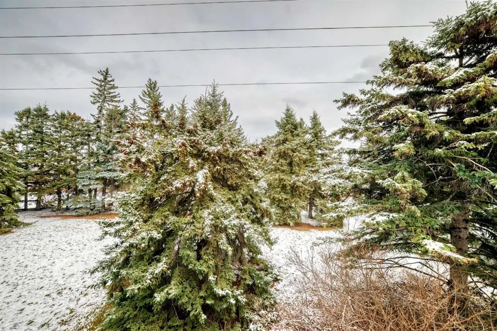 304 Cedar Crescent SW #12
