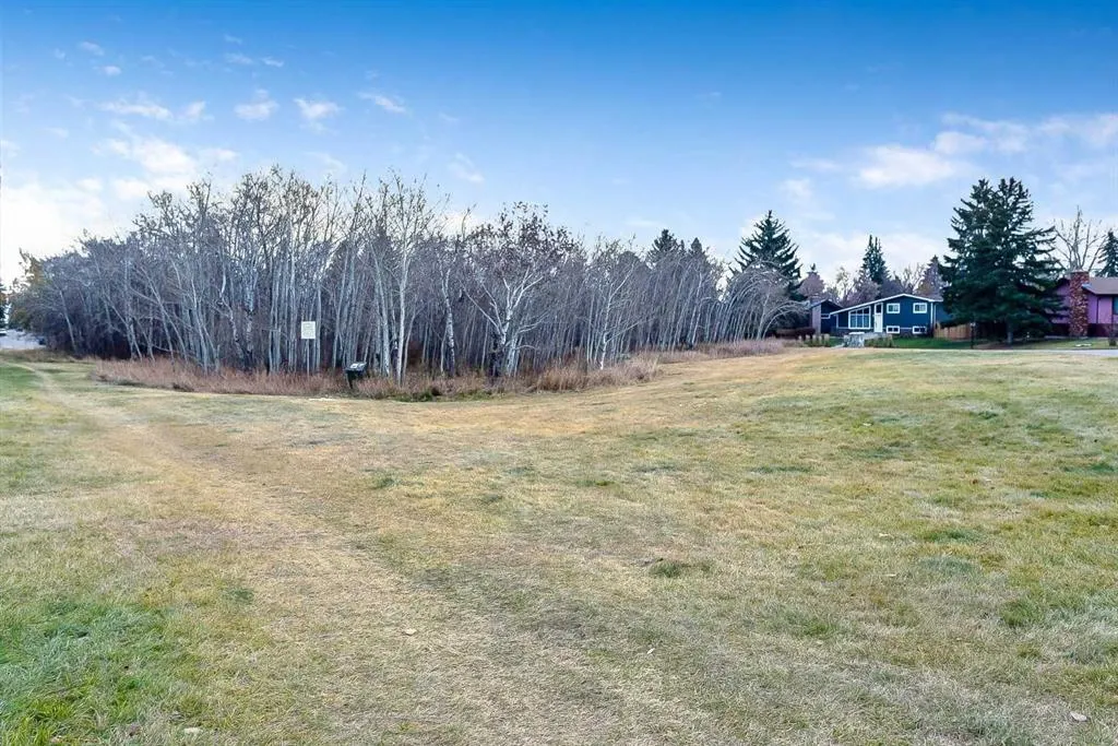 442 Brae Glen Crescent SW