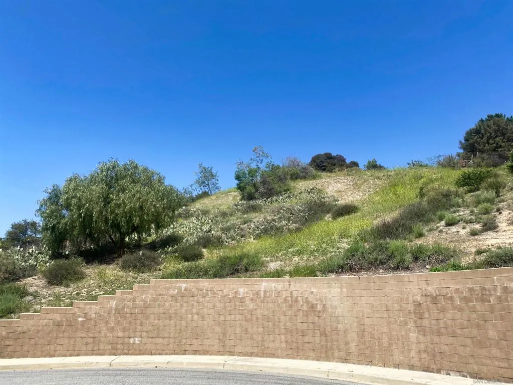 15 Yucca Ct