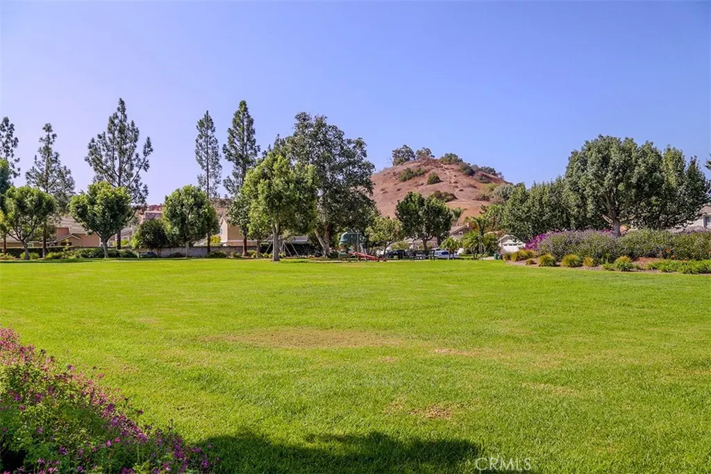 808 Arbor Circle