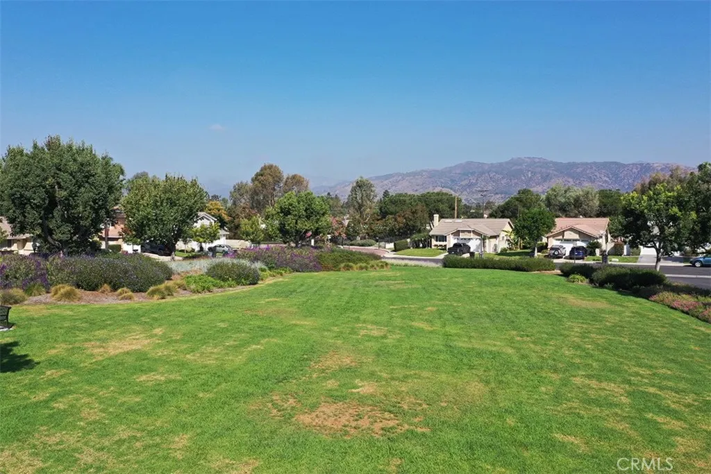808 Arbor Circle