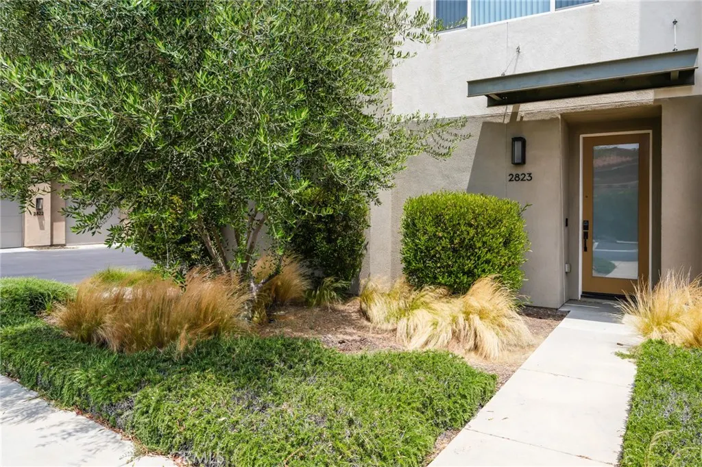2823 Lily Lane