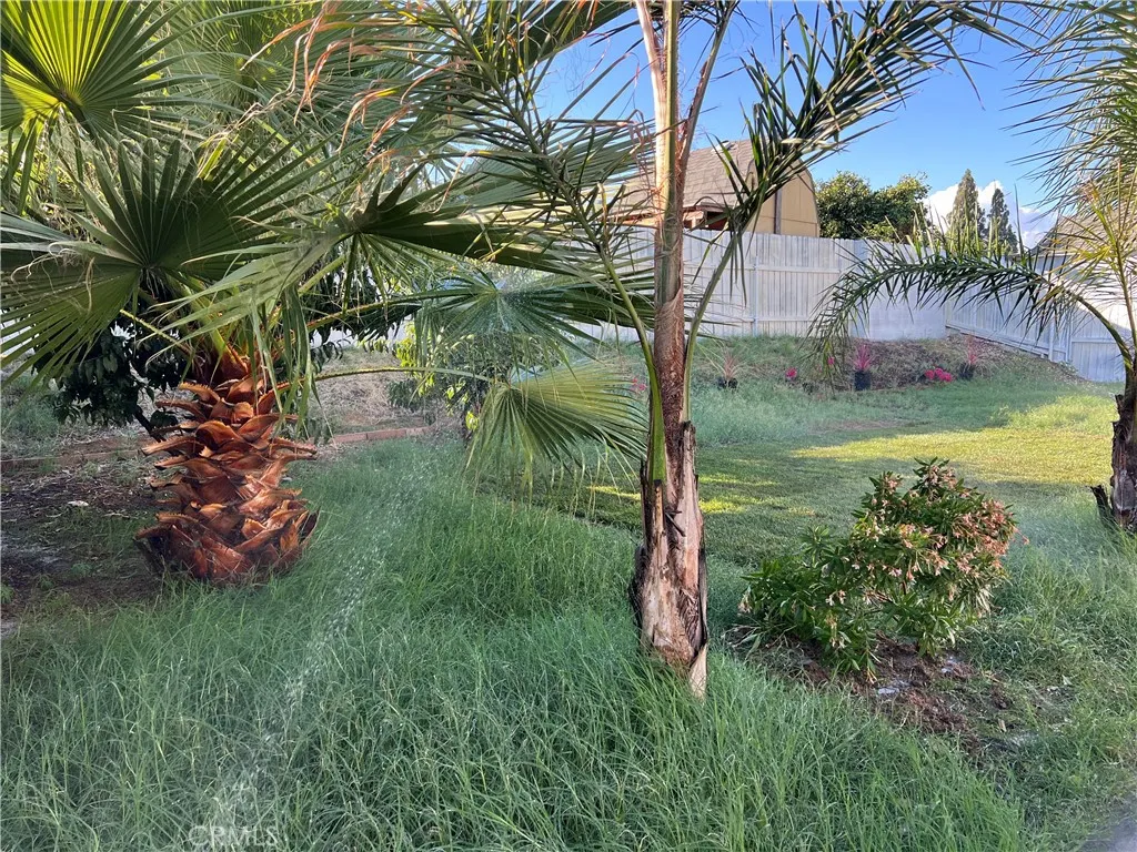 2456 Dr S Woodlark