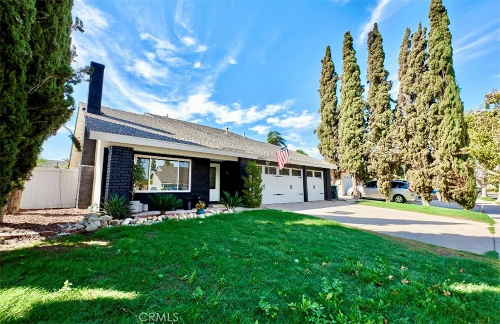 2456 Dr S Woodlark
