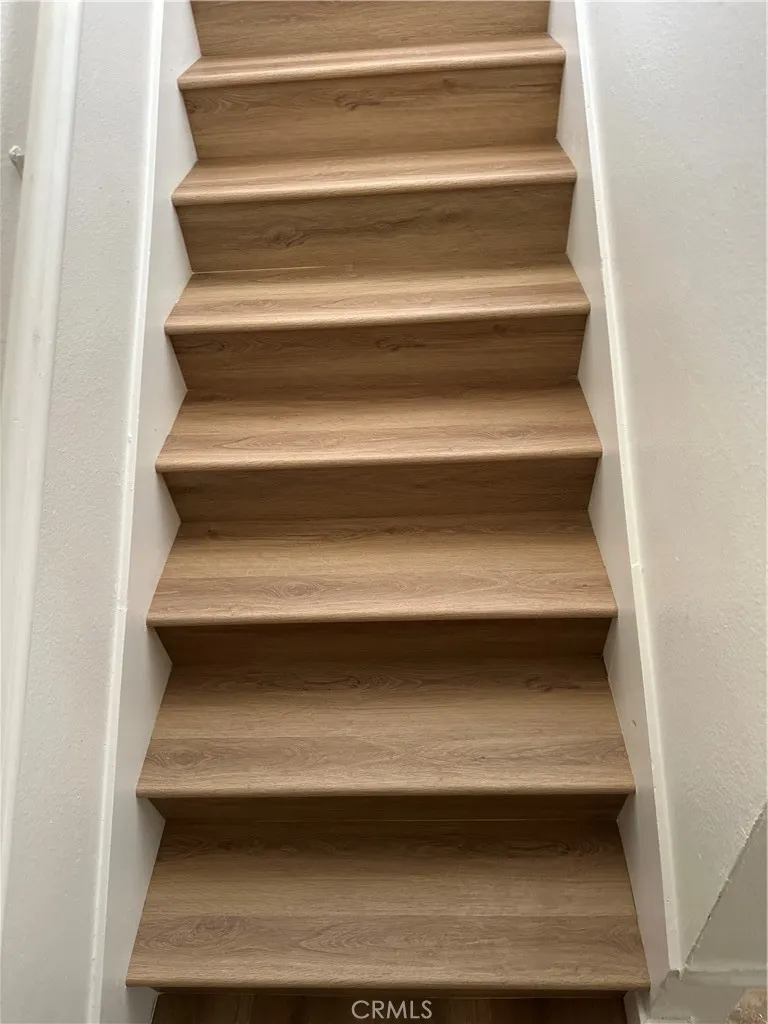 10484 Calico