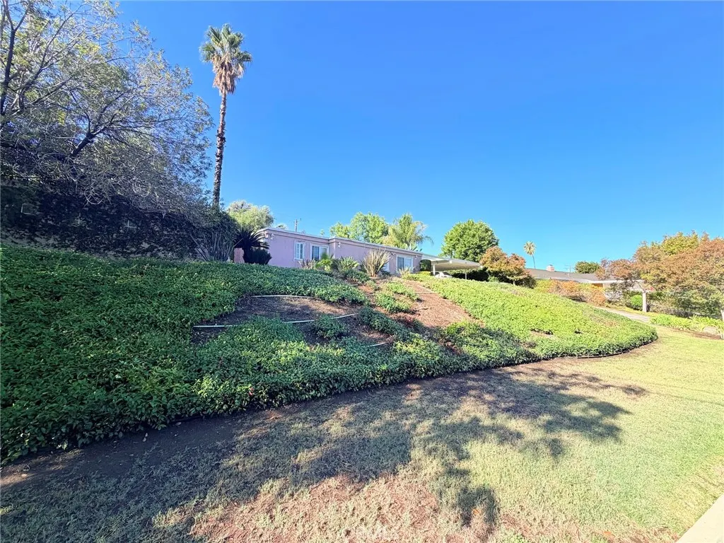 3258 E Whitebirch