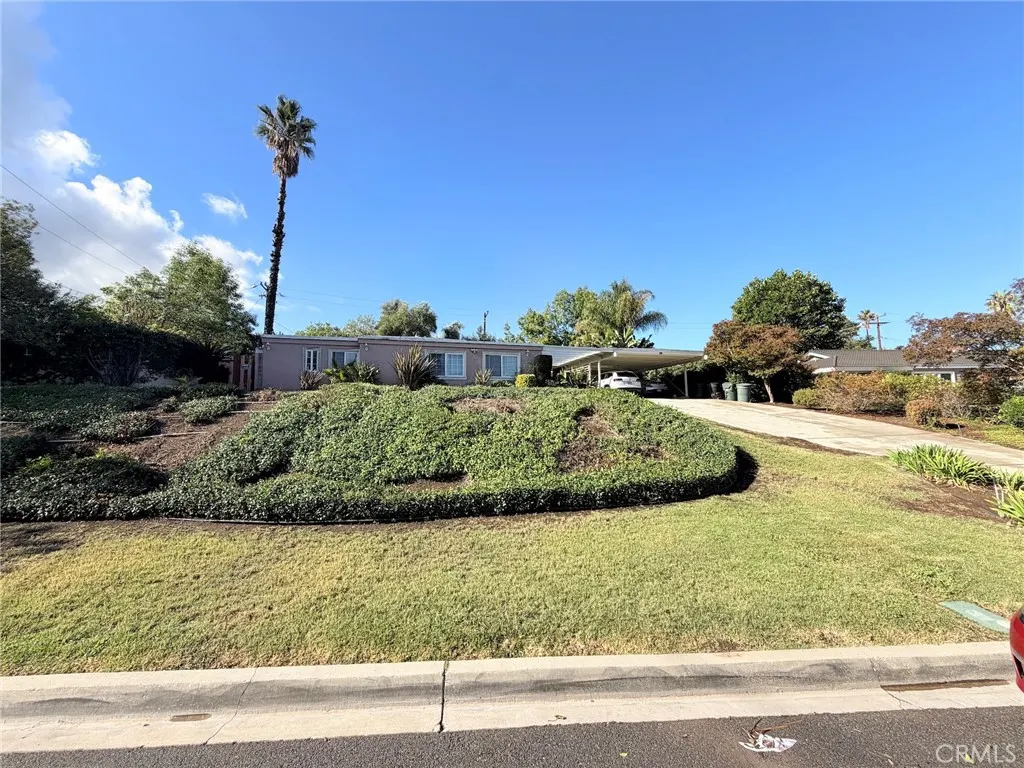 3258 E Whitebirch