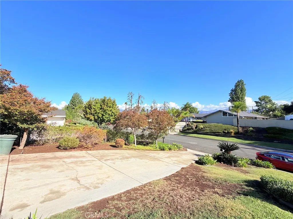 3258 E Whitebirch