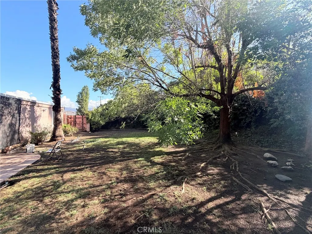 3258 E Whitebirch