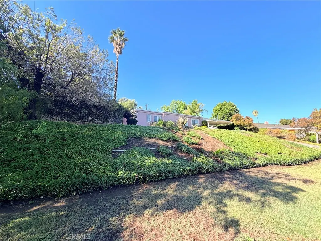 3258 E Whitebirch
