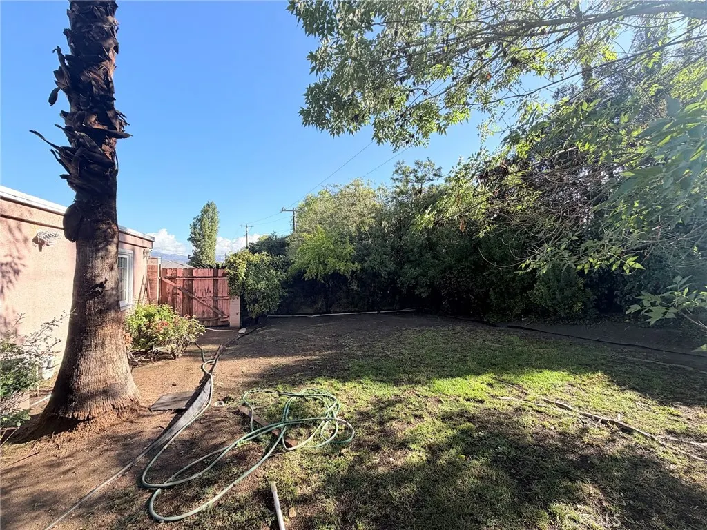 3258 E Whitebirch