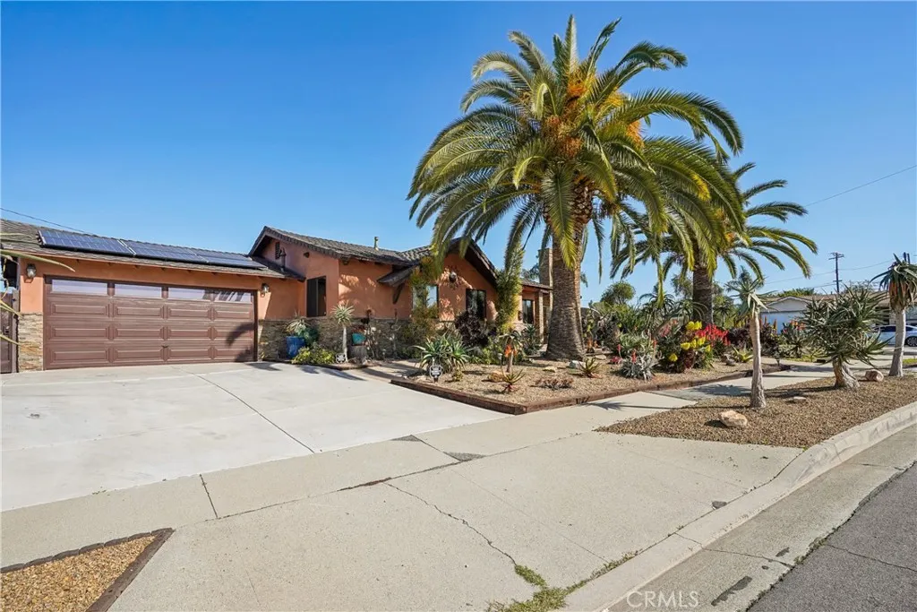 16559 Mcwood