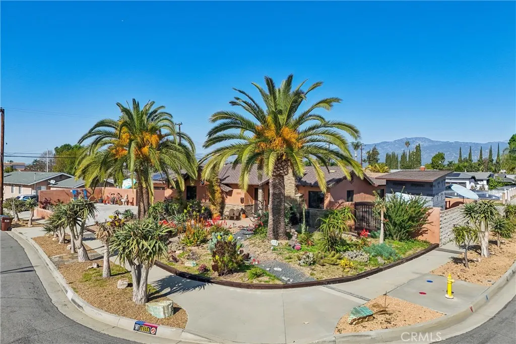 16559 Mcwood