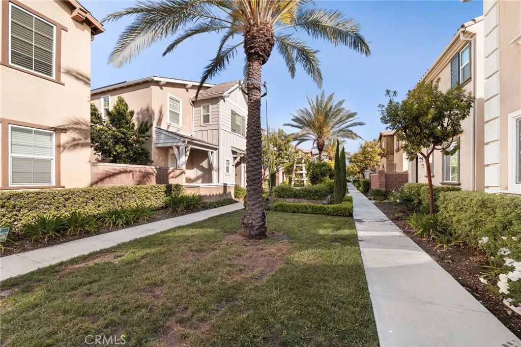 8697 Celebration Street