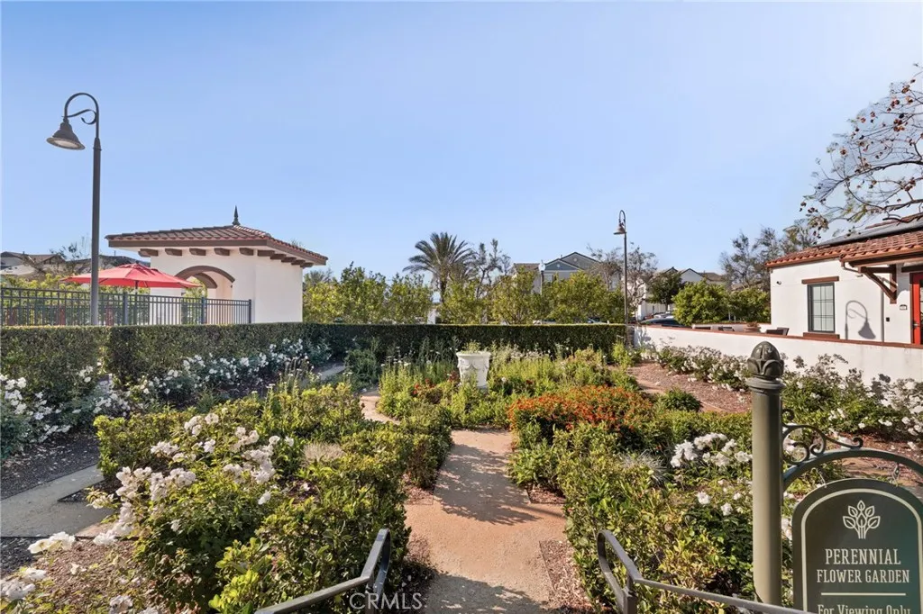 8697 Celebration Street