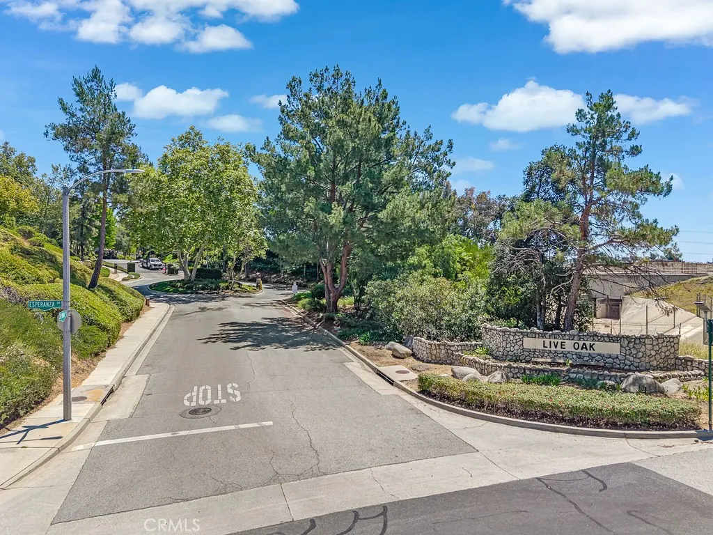 3246 Barn Owl Way