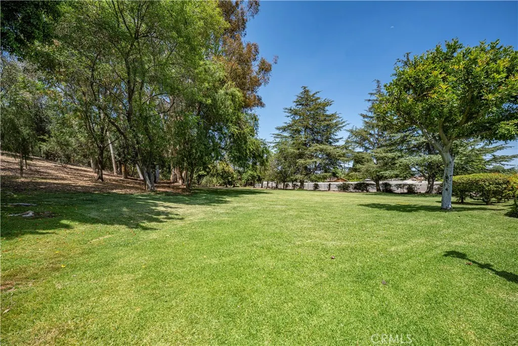 963 Shady Lane