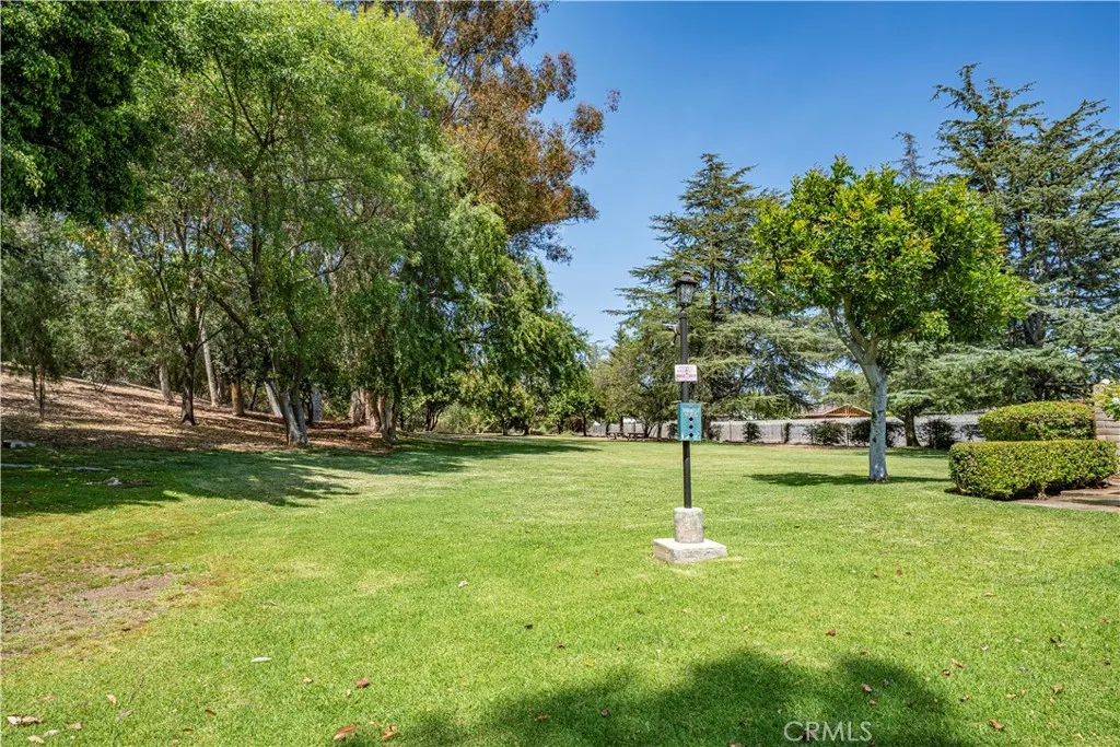 963 Shady Lane