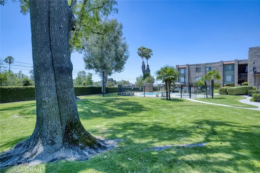 830 N Dalton #112