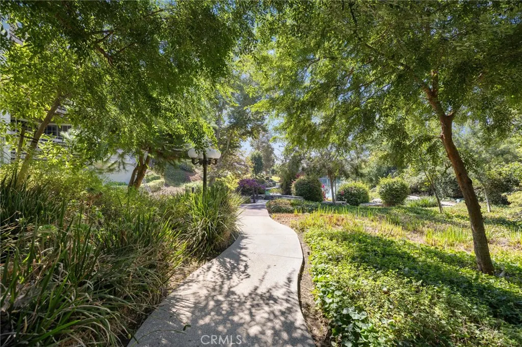 1083 Lakeview