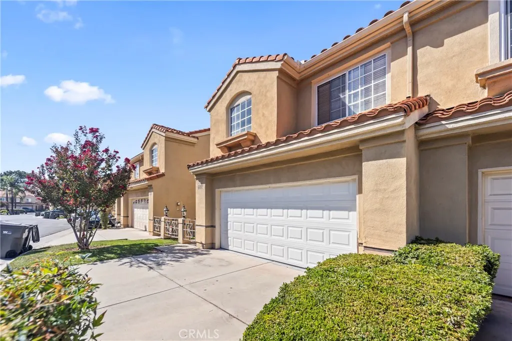 607 Wild Rose