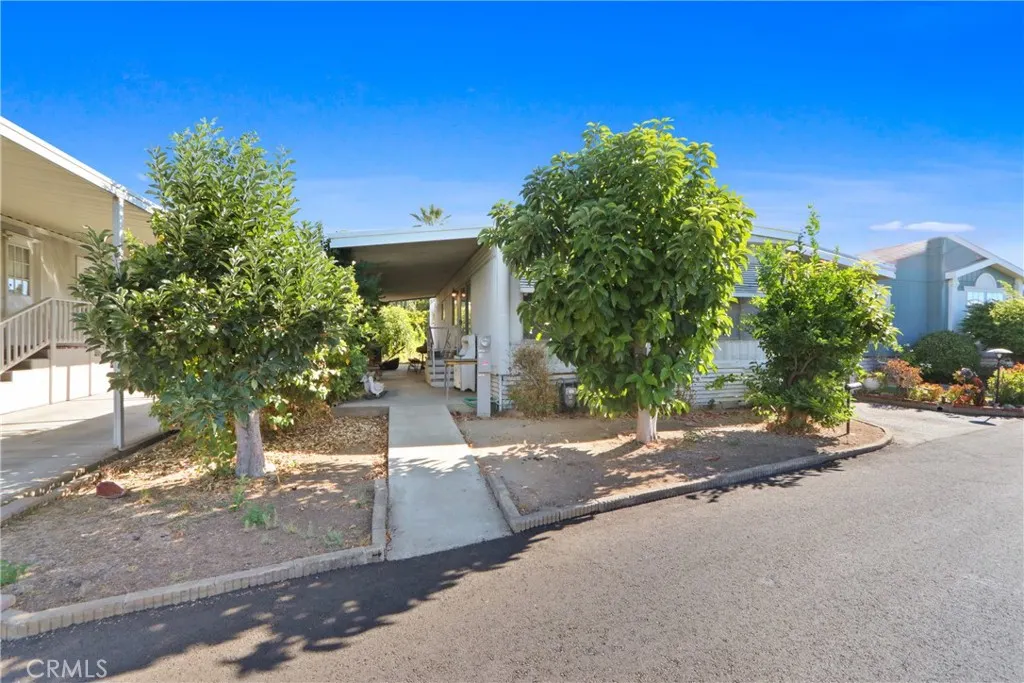 3530 Damien #158