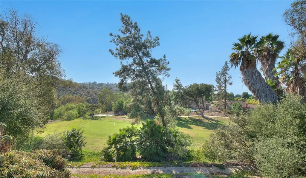 1801 Via Palomares