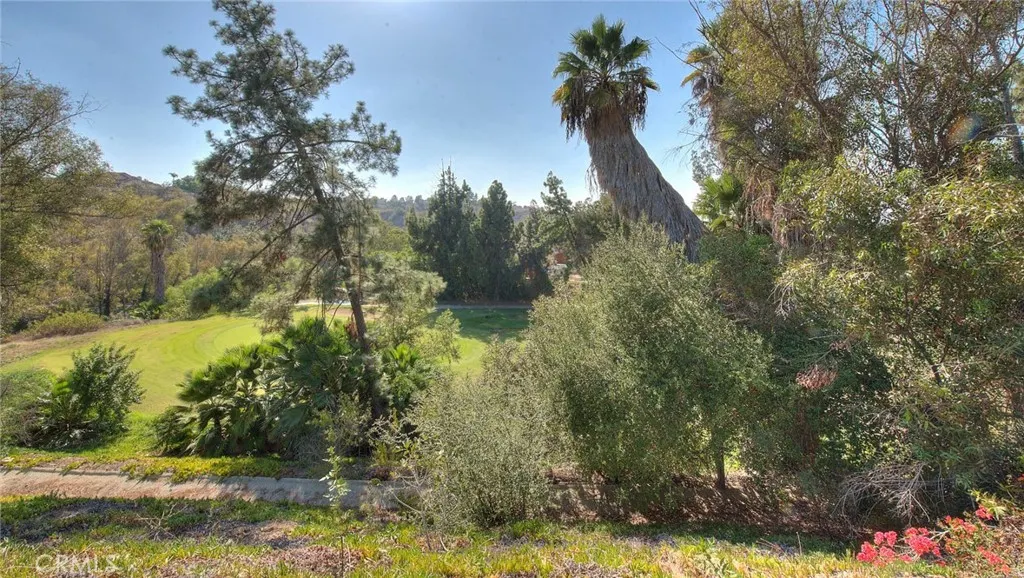 1801 Via Palomares