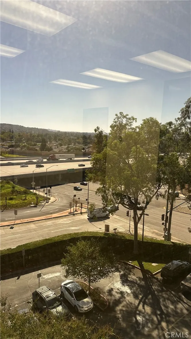 100 N Citrus #500