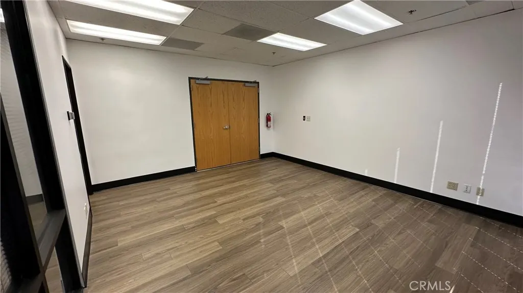 100 N Citrus #500