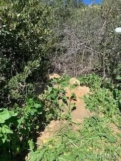 0 Hillside