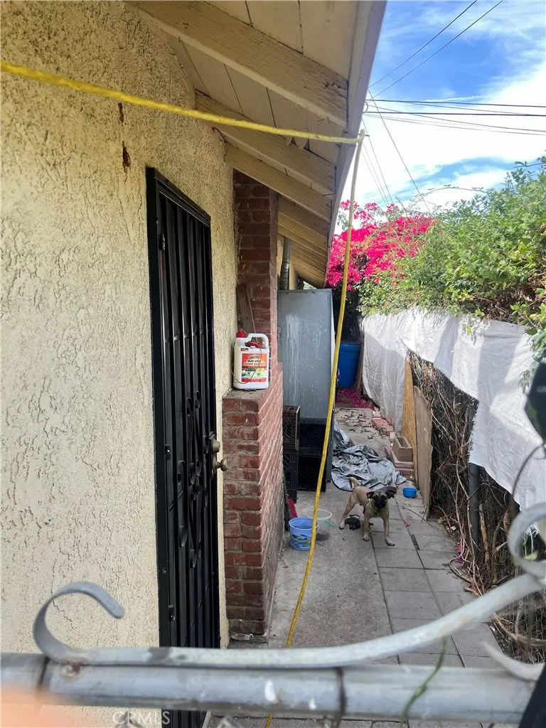 550 W Belmont